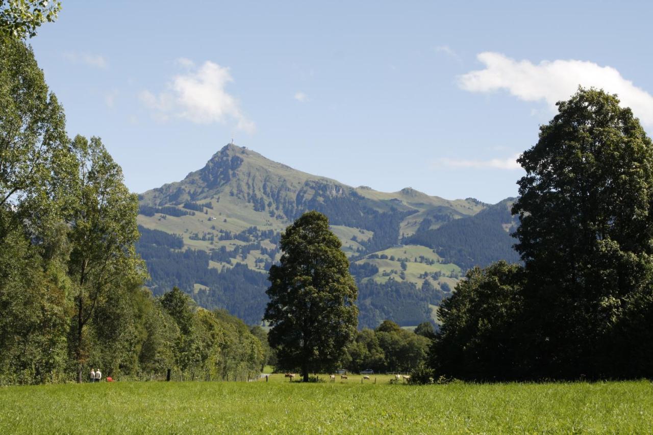 Absolute Active Roulette Apartments Kirchberg Kirchberg in Tirol Eksteriør billede