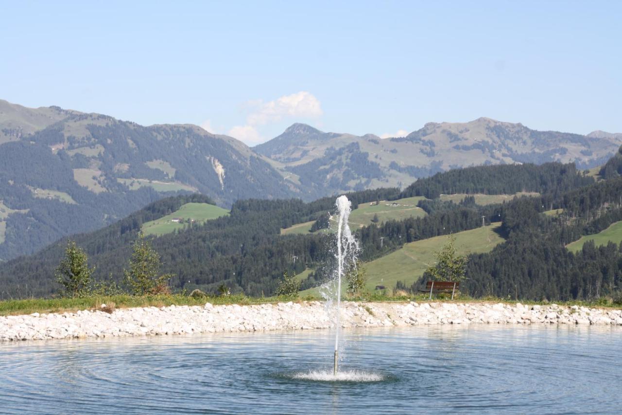 Absolute Active Roulette Apartments Kirchberg Kirchberg in Tirol Eksteriør billede